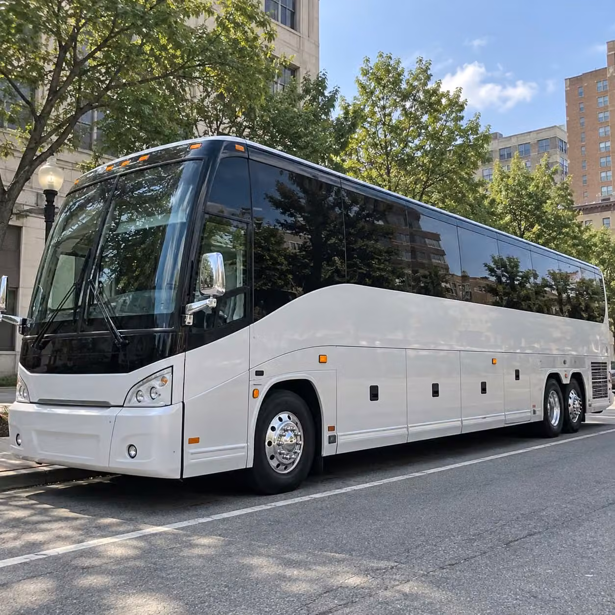 for the best experience at dallas zoo and aquarium arrive together on a charter bus